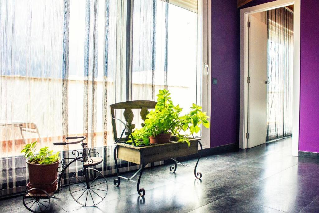 Apartamento Con Estilo Y Acogedor Сан Матеу Екстериор снимка